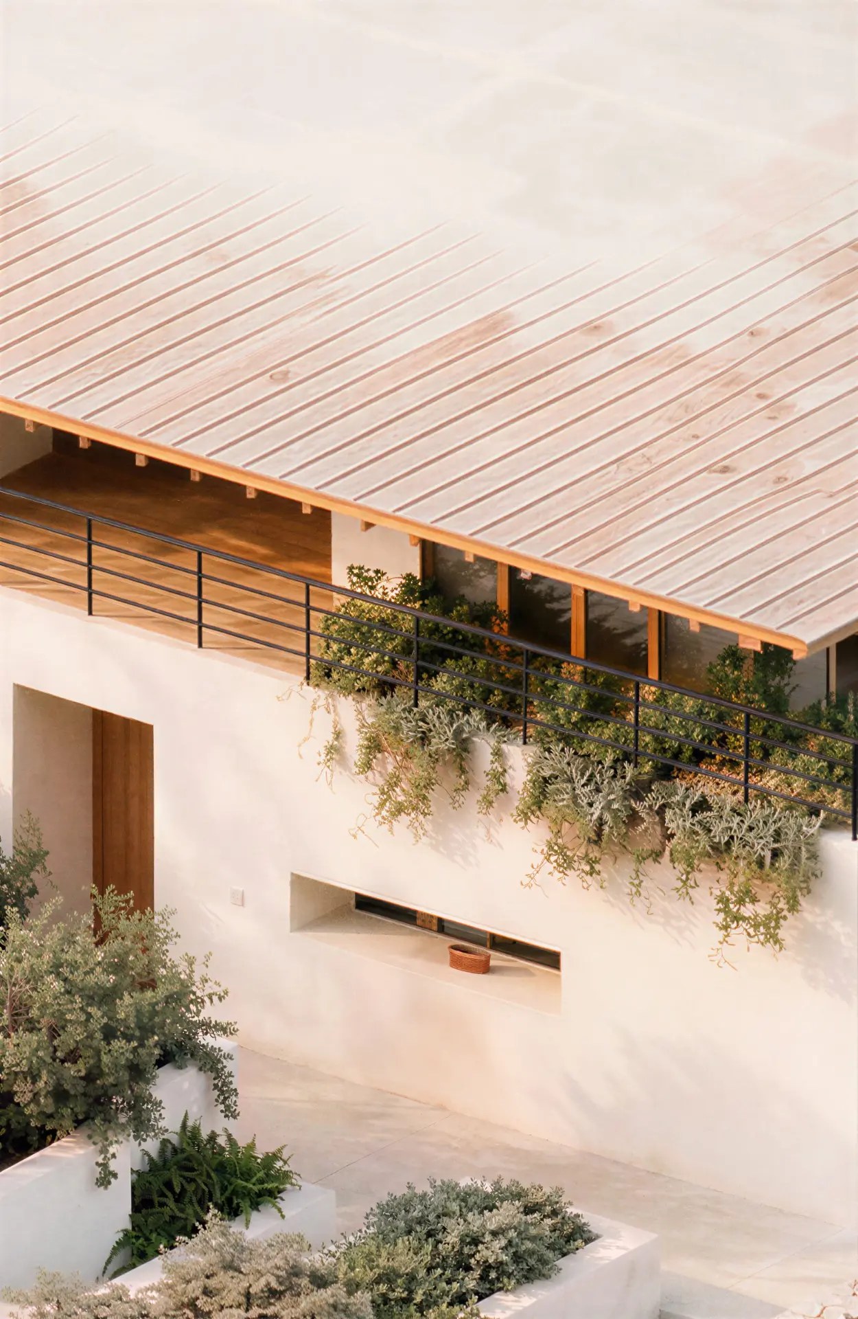 Planted courtyard walkway beneath a timber-framed canopy, visualised by ESTUDIO LOCAL